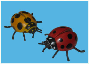 ladybugs.jpg